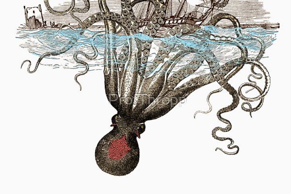 Kraken network